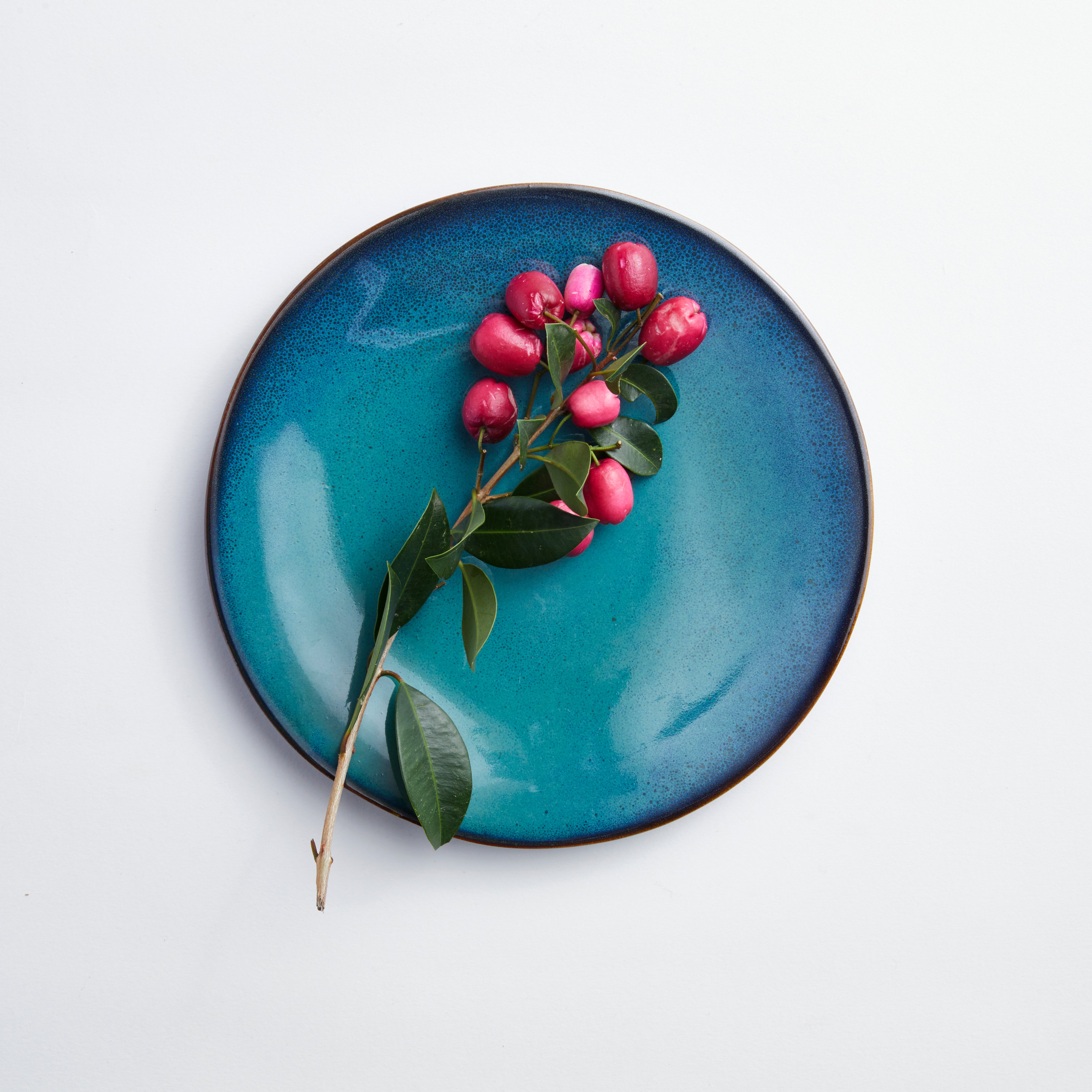 Rockpool - Medium Plate (set of 4) (Copy)