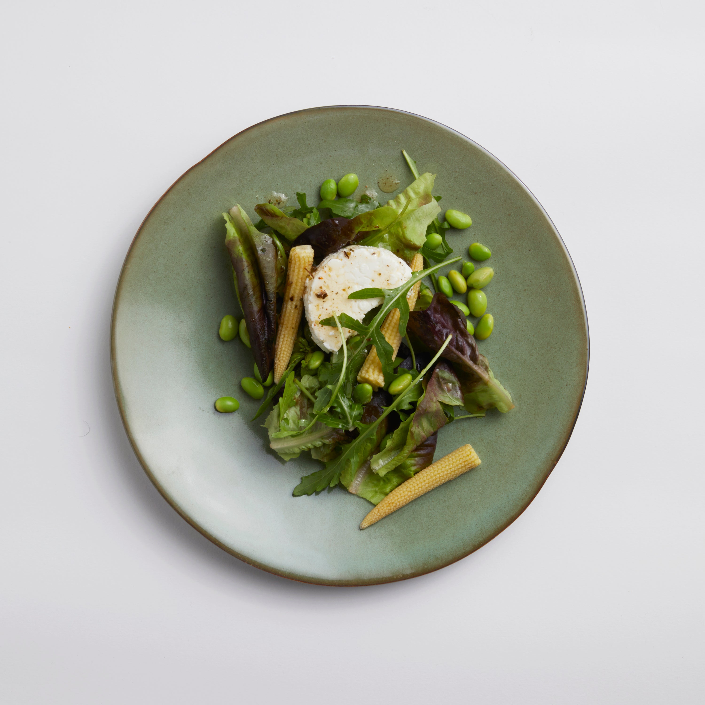 Fynbos - Dinner Plate (set of 4)