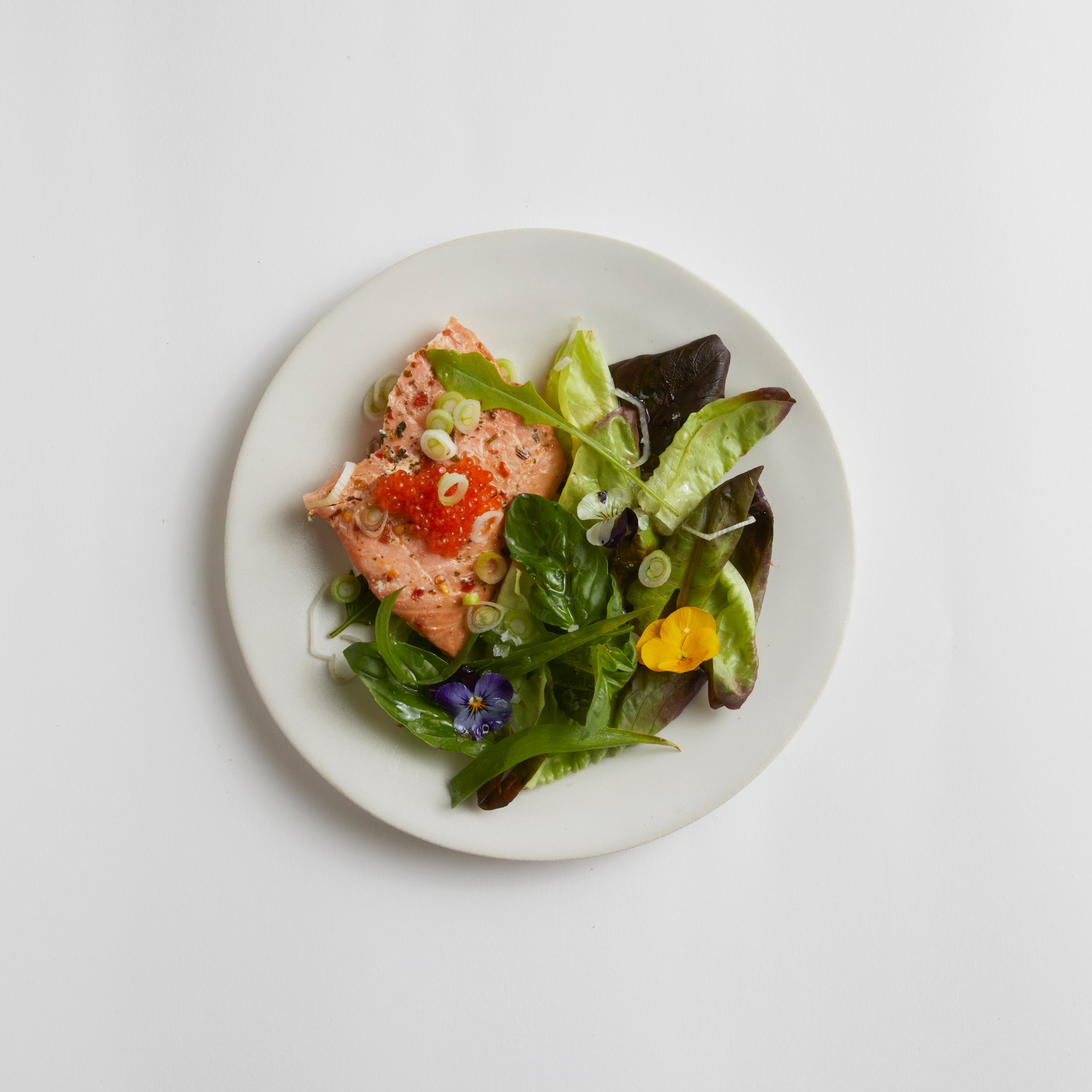 Satin Matte White - Medium Plate (set of 4)