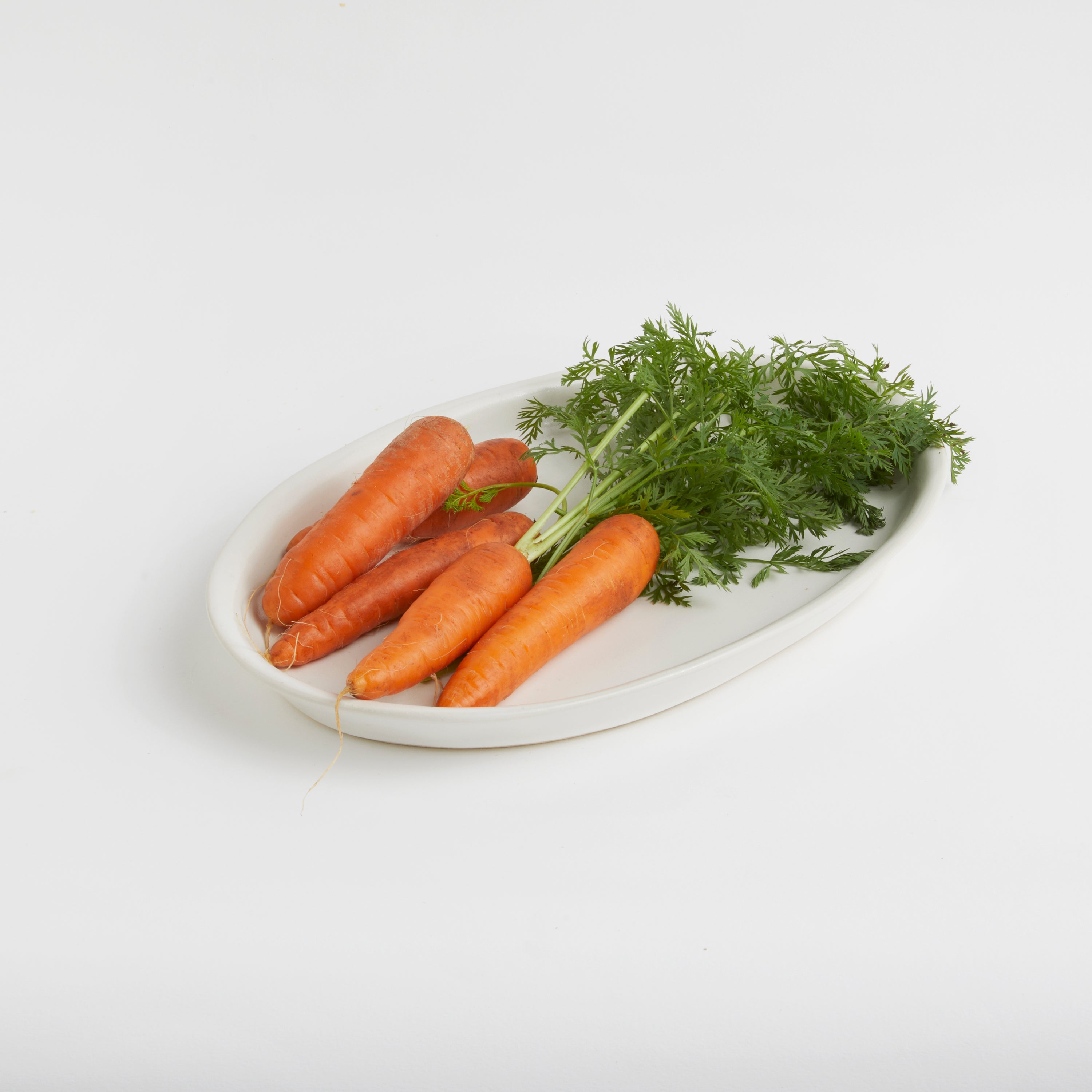 Satin Matte White - Trout Platter