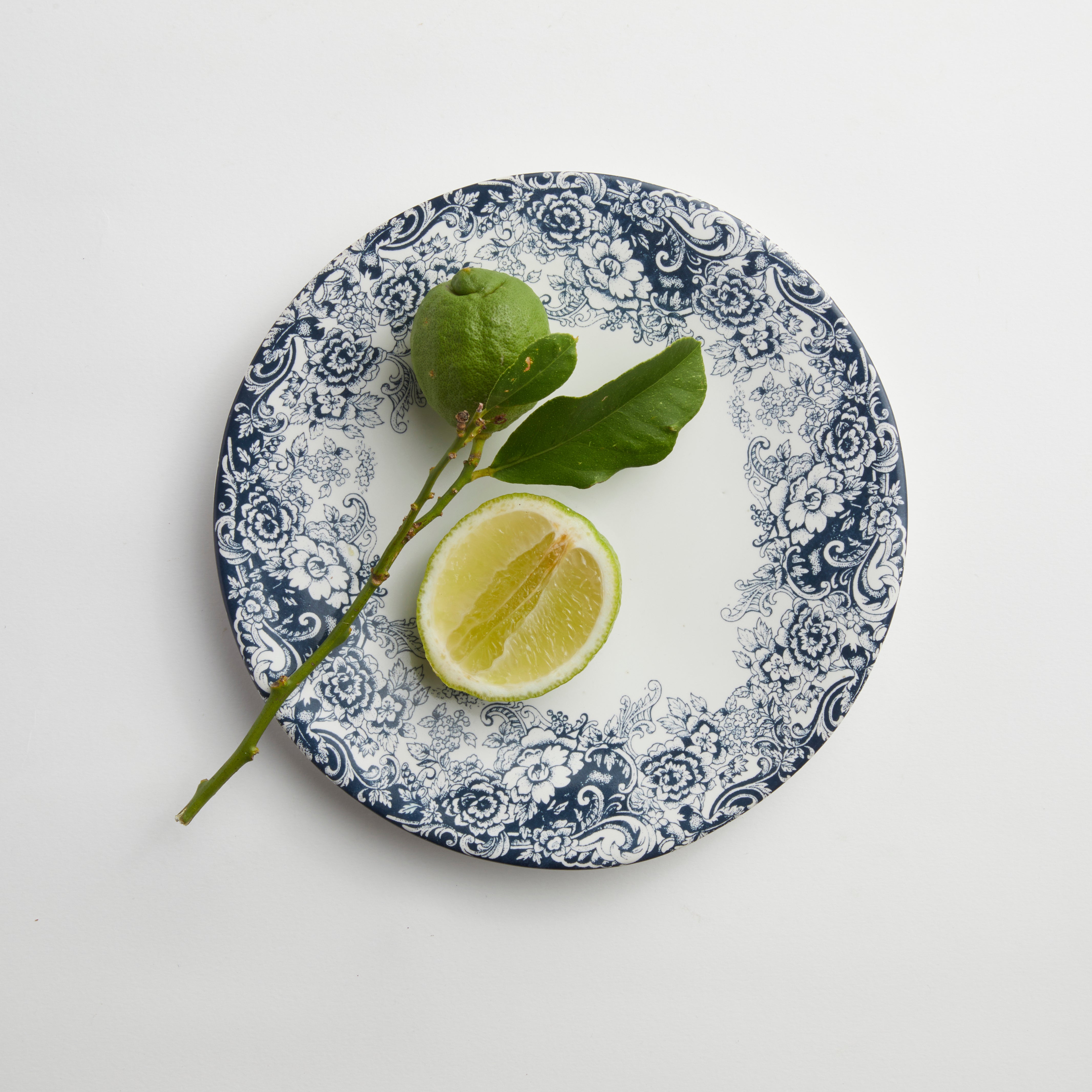 Blue Provencal - Medium Plate (set of 4)