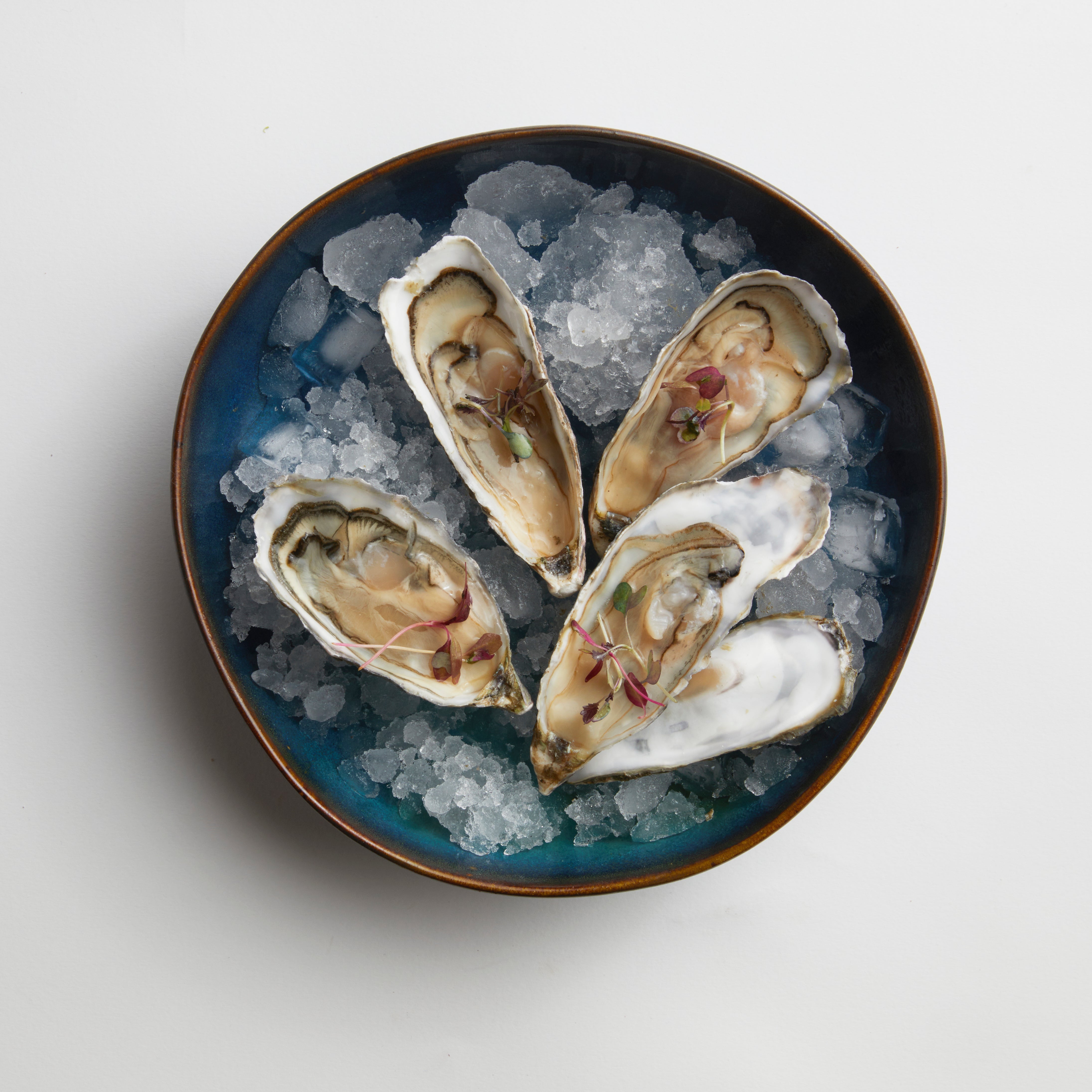 Rockpool - Oyster Bowl (set of 2)