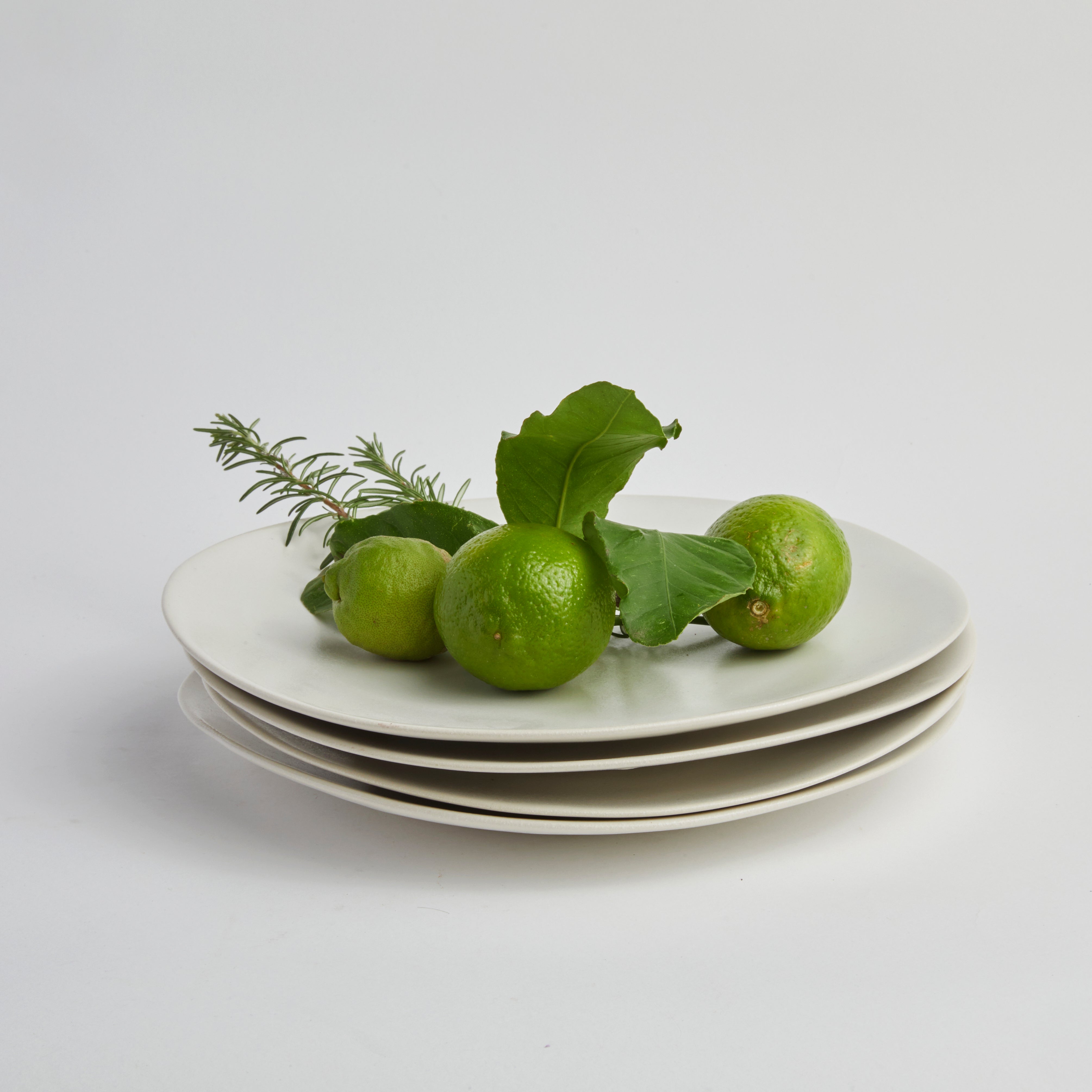 Satin Matte White - Dinner Plate (set of 4)
