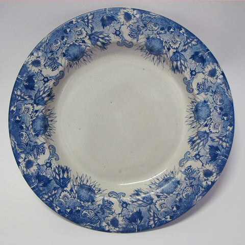 Protea Items