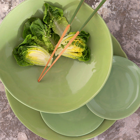 Sea Lettuce Various