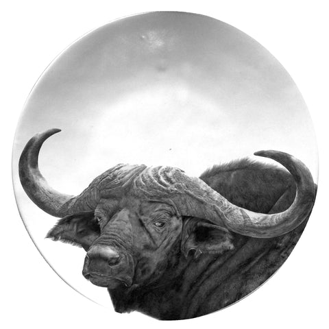 Buffalo- Presentation platter