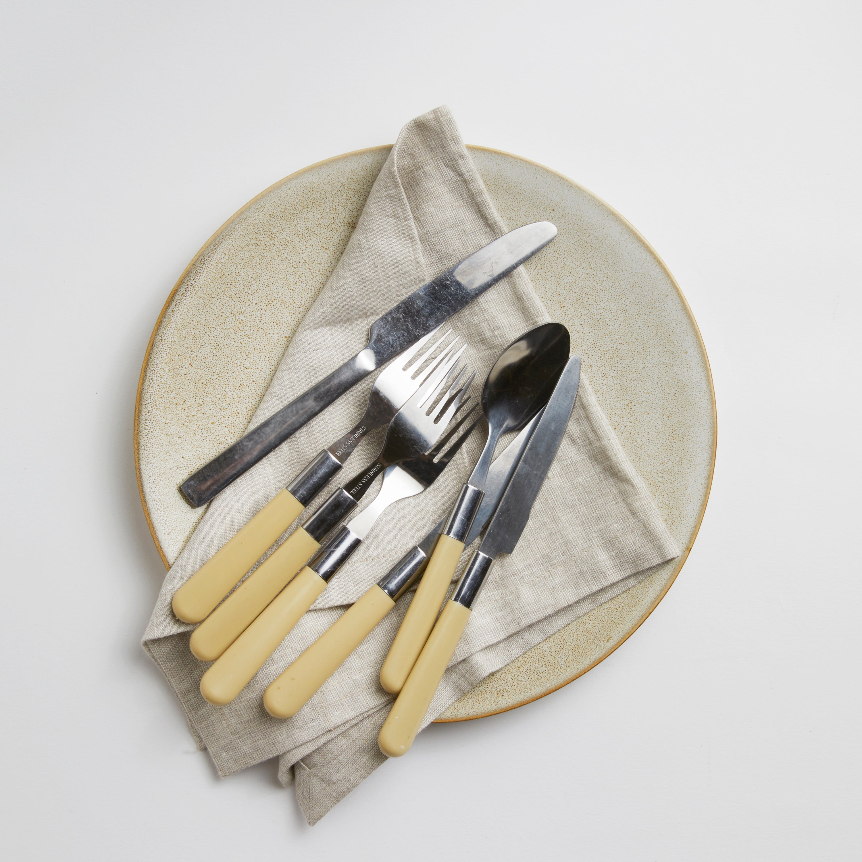 Ostrich - Dinner Plate (set of 4)