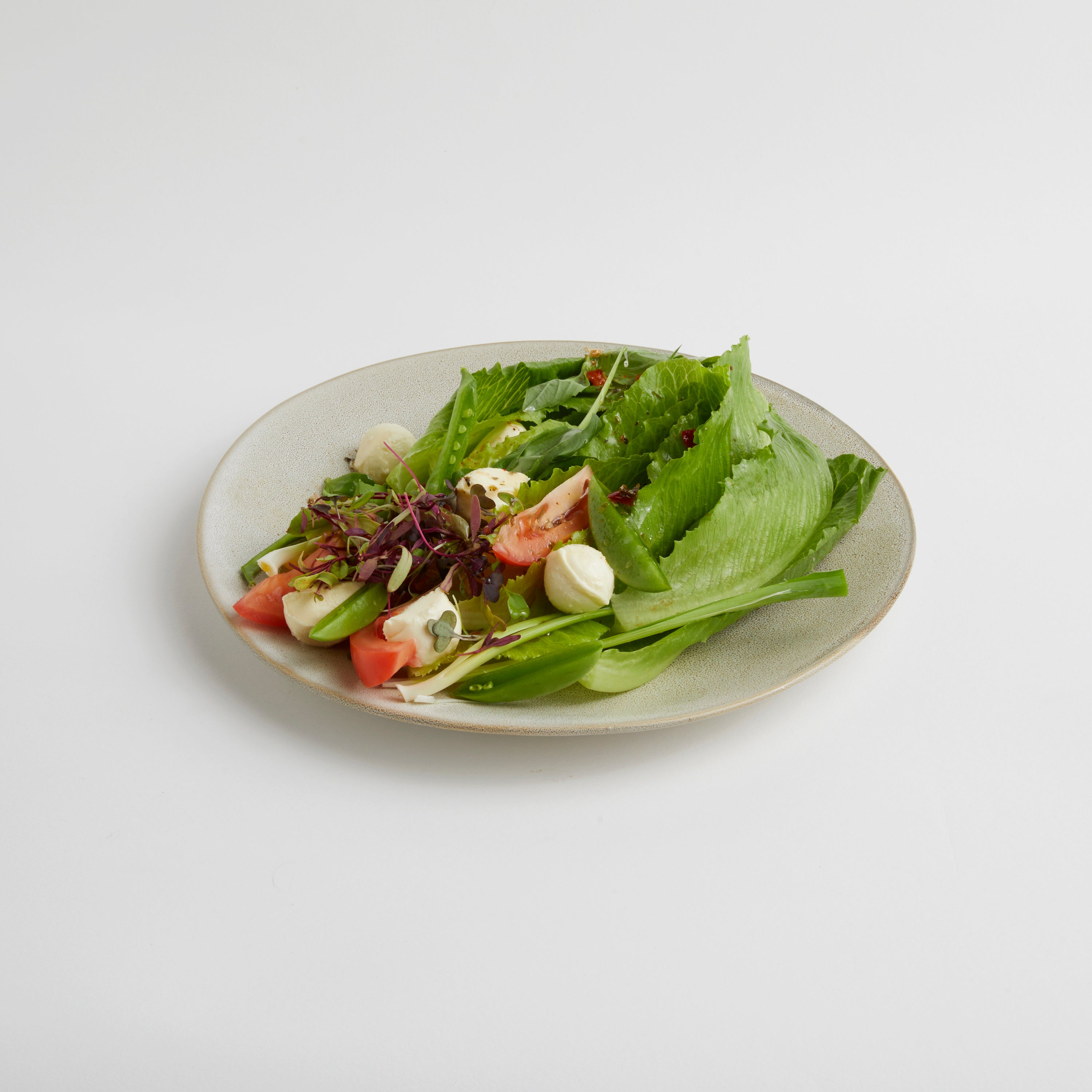 Ostrich - Dinner Plate (set of 4)